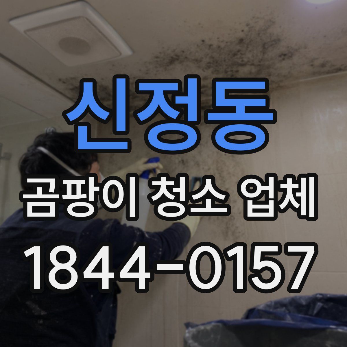 신정동 곰팡이 청소 업체