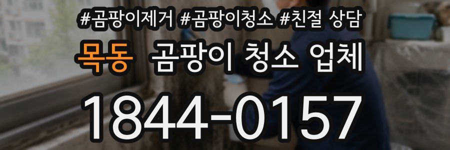목동 곰팡이 청소 업체