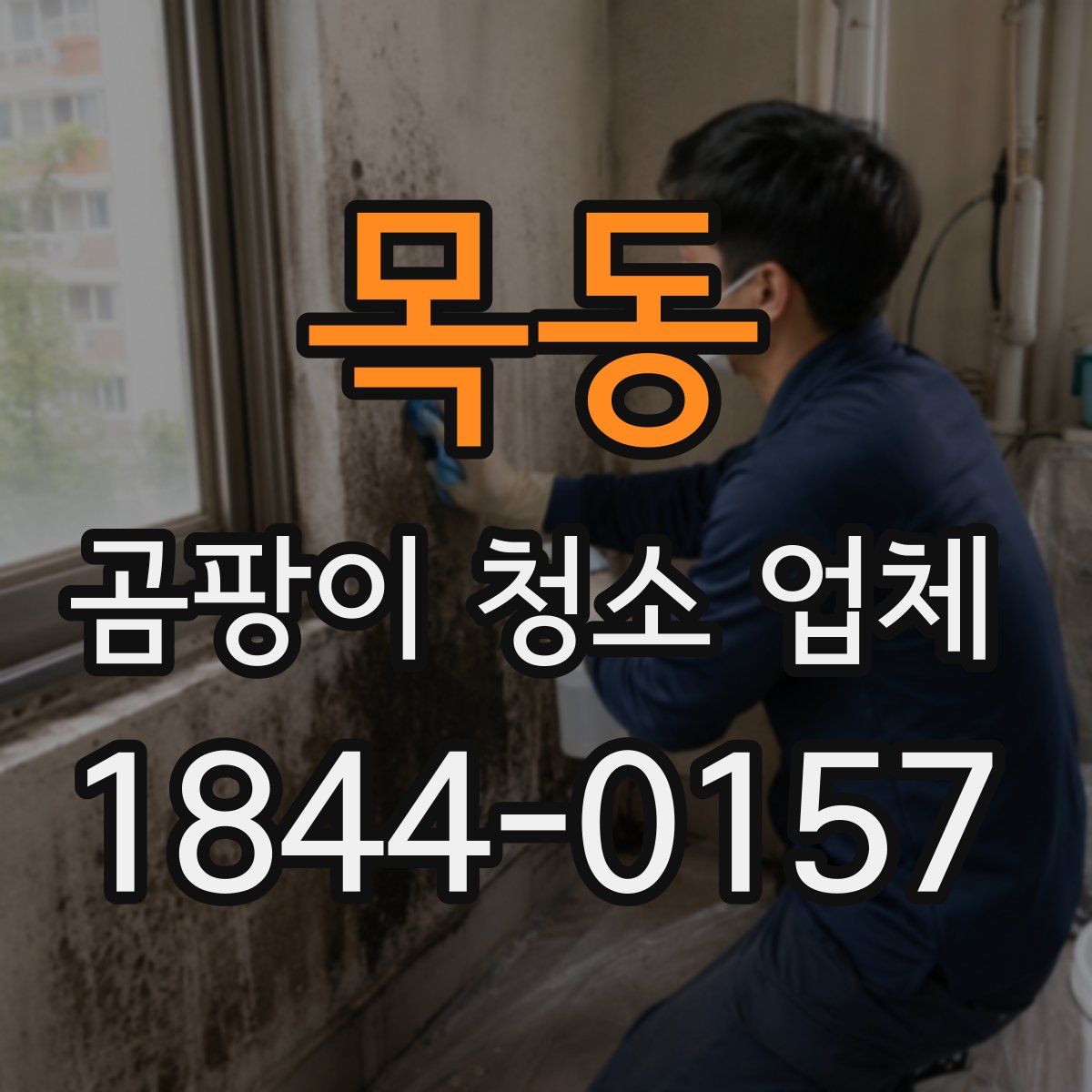 목동 곰팡이 청소 업체