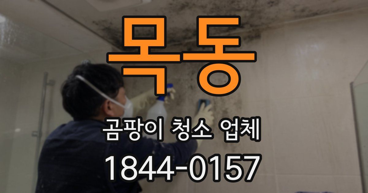 목동 곰팡이 청소 업체