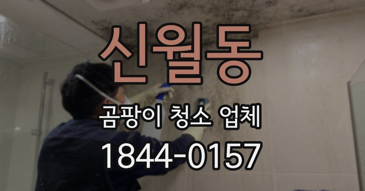 신월동 곰팡이 청소 업체