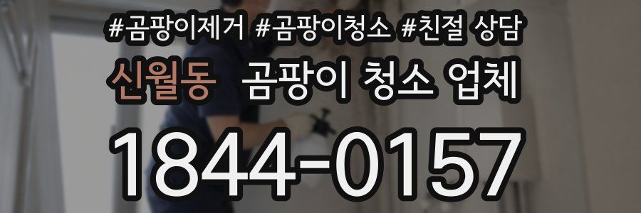 신월동 곰팡이 청소 업체