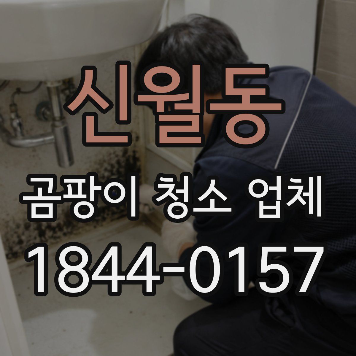신월동 곰팡이 청소 업체