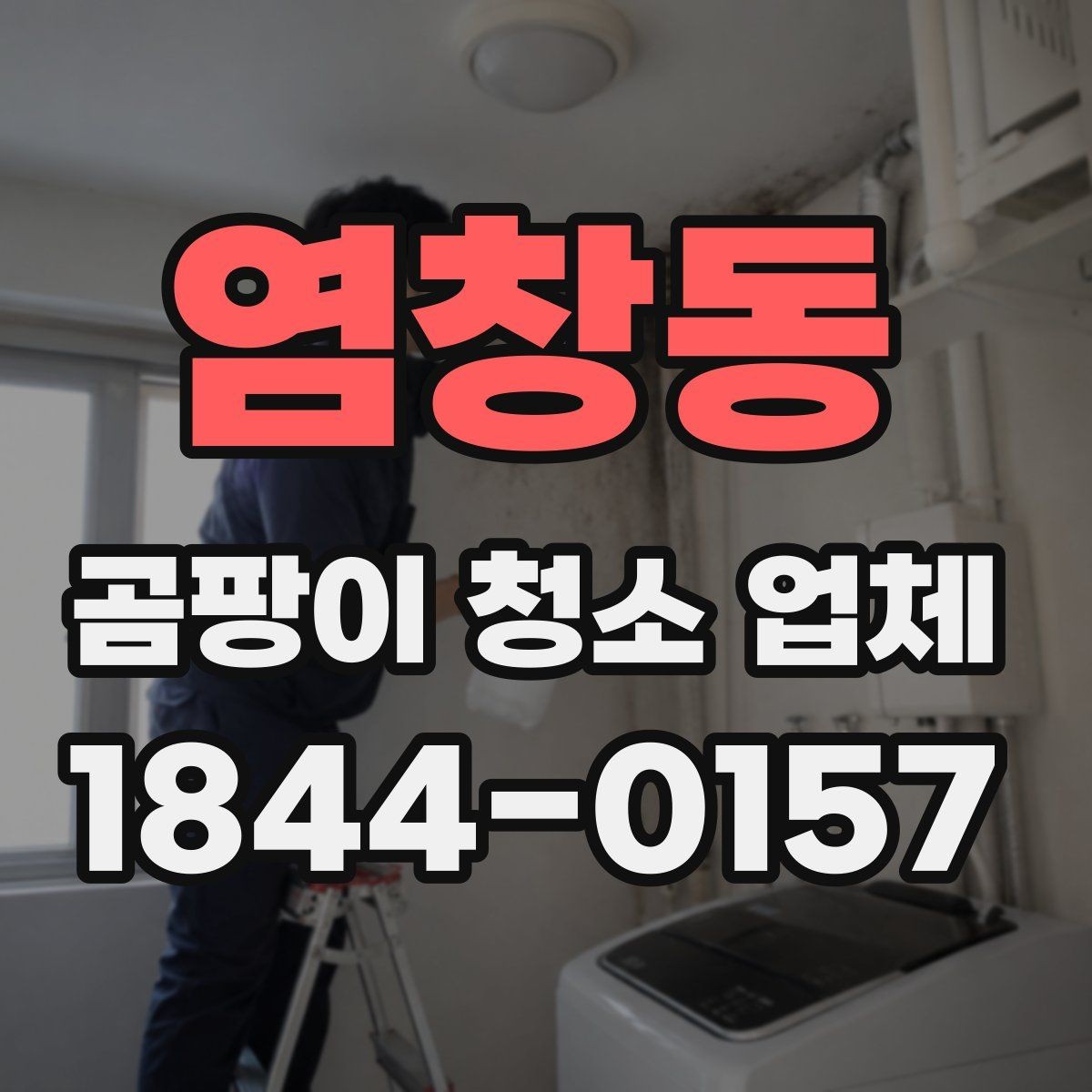 염창동 곰팡이 청소 업체 비교할 때 놓치기 쉬운 부분