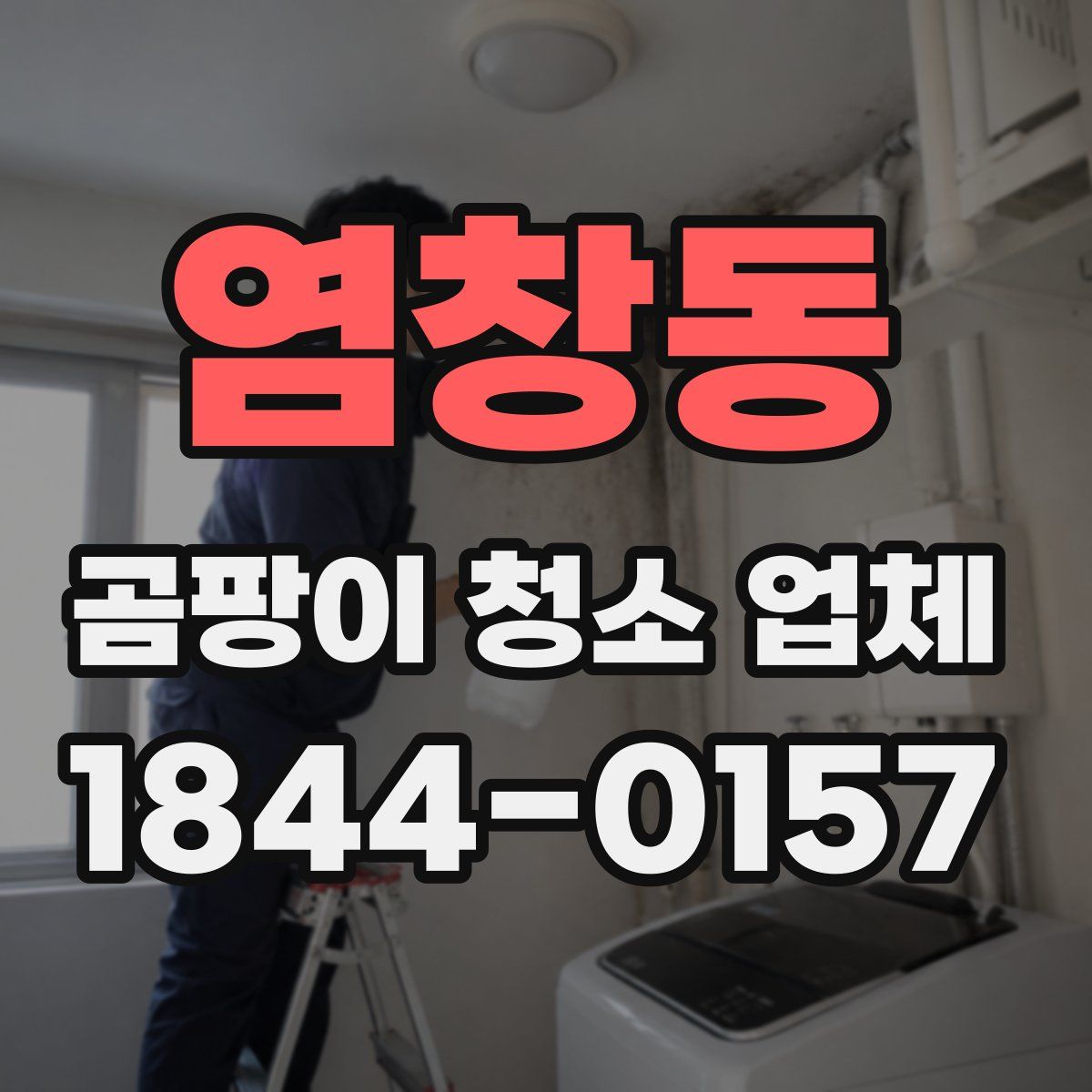 염창동 곰팡이 청소 업체