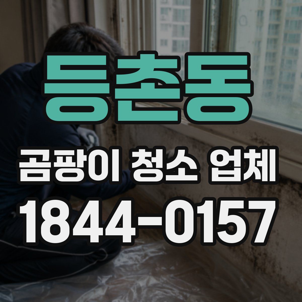등촌동 곰팡이 청소 업체
