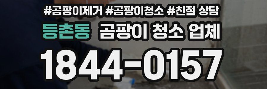 등촌동 곰팡이 청소 업체