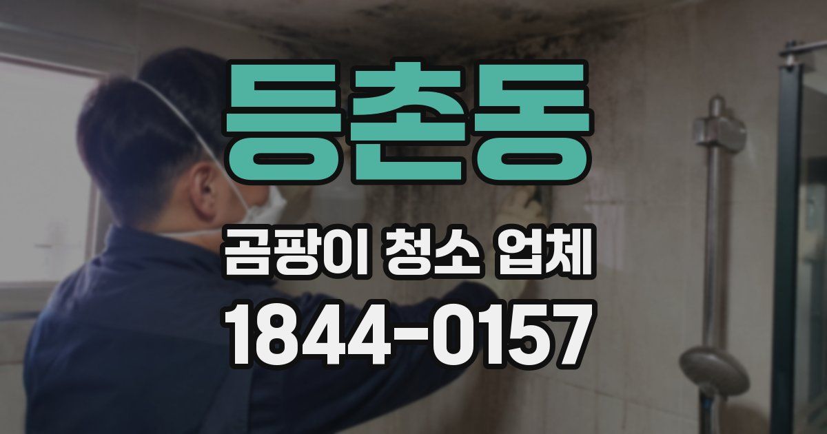 등촌동 곰팡이 청소 업체