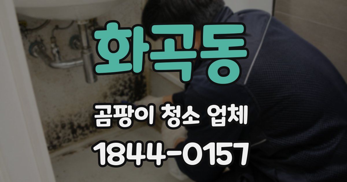 화곡동 곰팡이 청소 업체