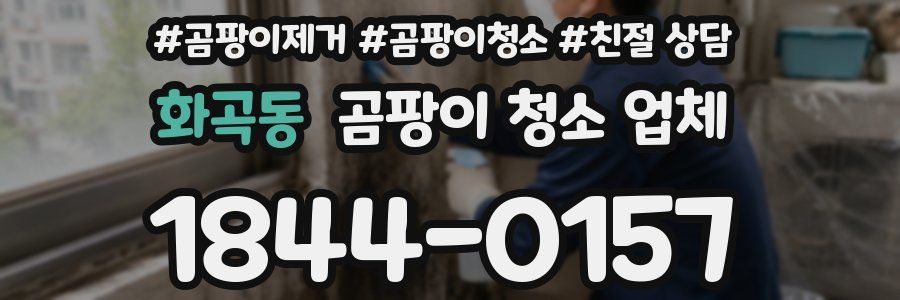 화곡동 곰팡이 청소 업체