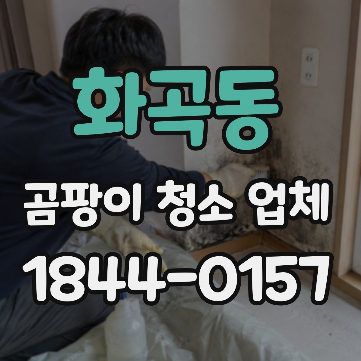 화곡동 곰팡이 청소 업체
