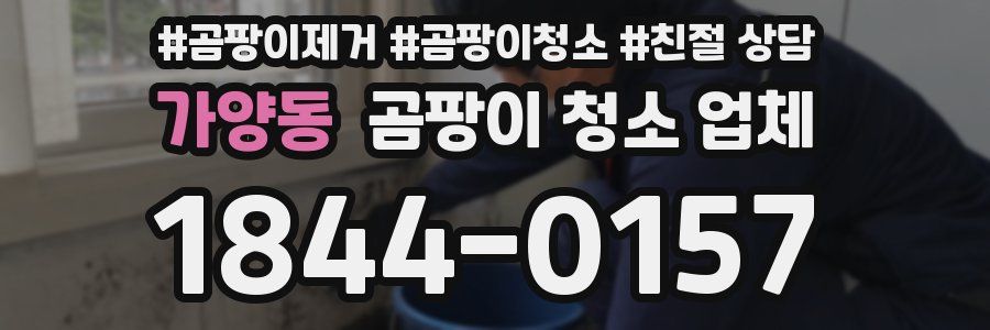 가양동 곰팡이 청소 업체