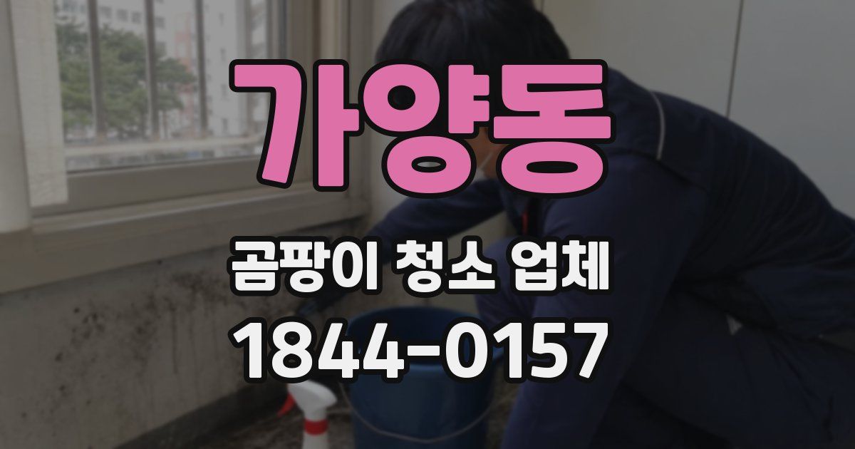 가양동 곰팡이 청소 업체