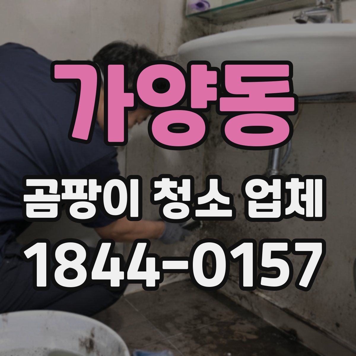 가양동 곰팡이 청소 업체