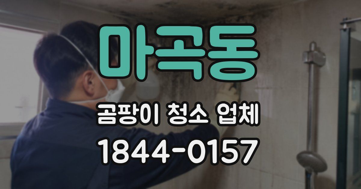 마곡동 곰팡이 청소 업체