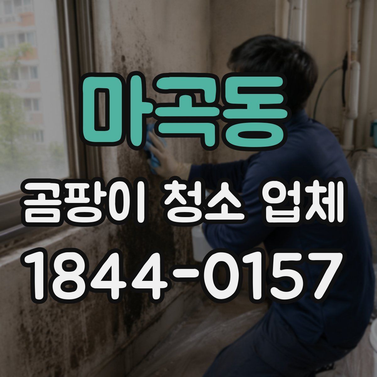 마곡동 곰팡이 청소 업체
