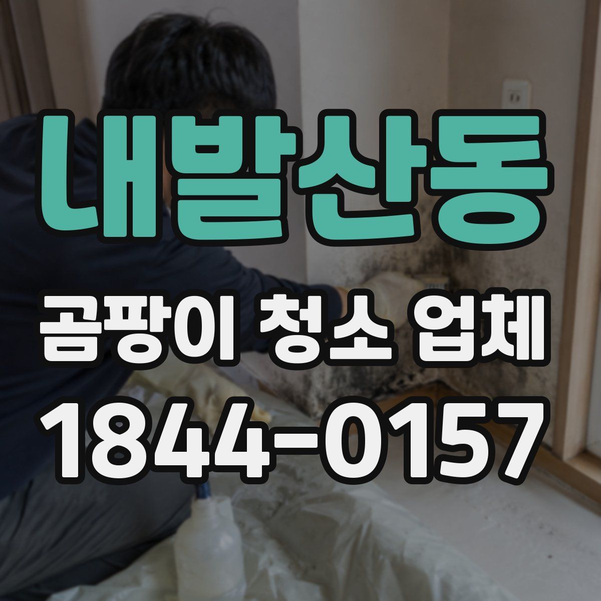 내발산동 곰팡이 청소 업체