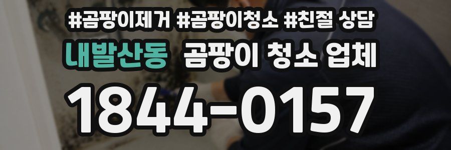 내발산동 곰팡이 청소 업체