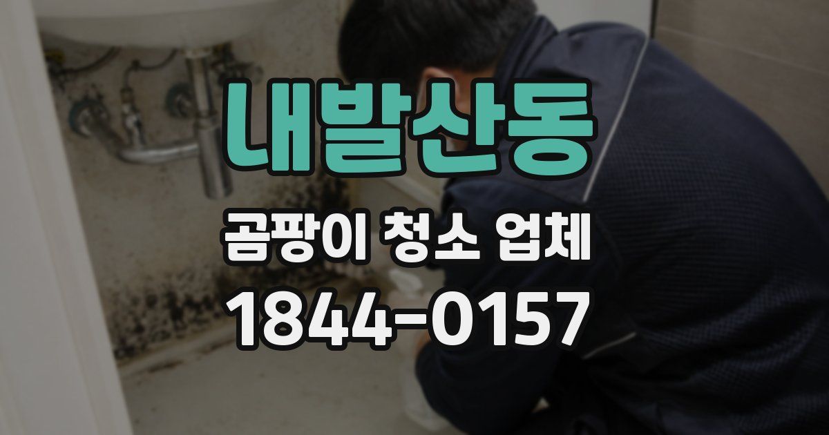 내발산동 곰팡이 청소 업체