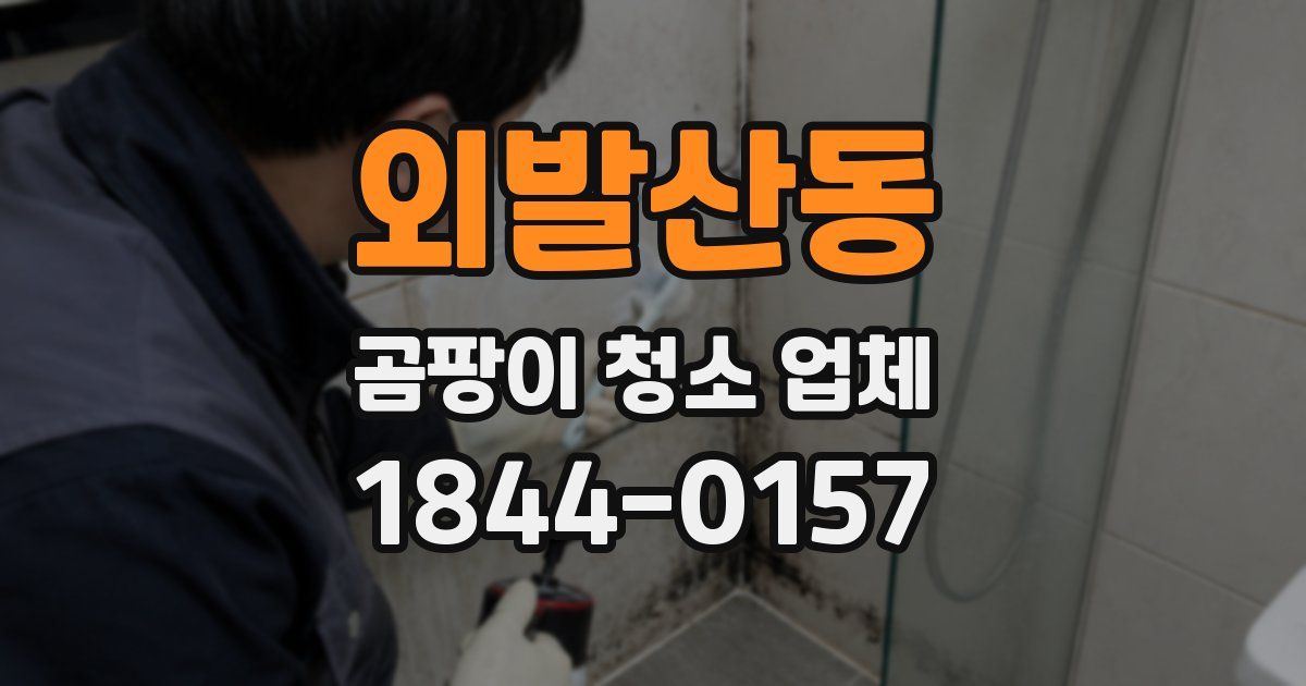외발산동 곰팡이 청소 업체