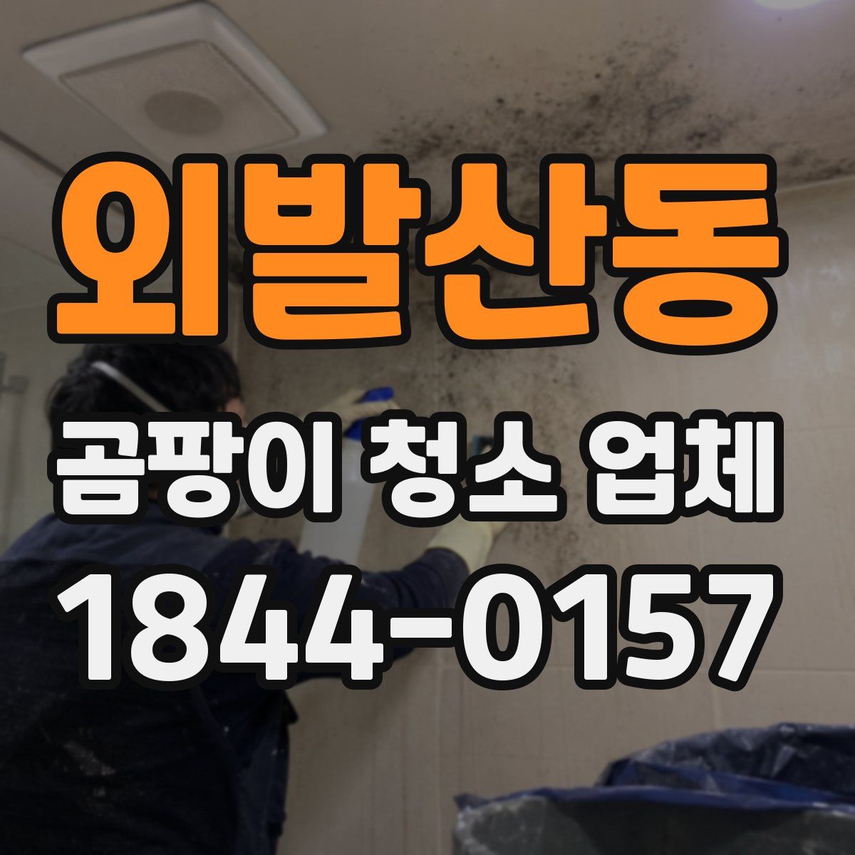 외발산동 곰팡이 청소 업체