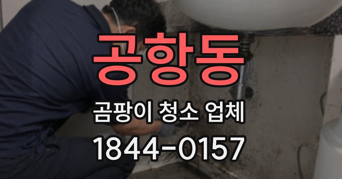 공항동 곰팡이 청소 업체
