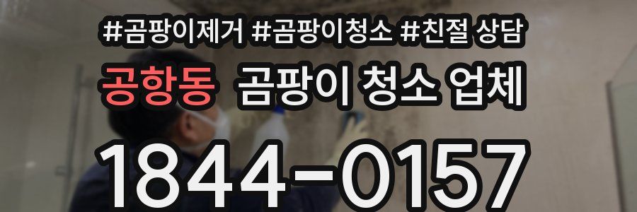 공항동 곰팡이 청소 업체