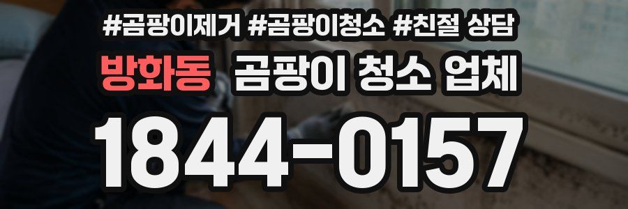방화동 곰팡이 청소 업체