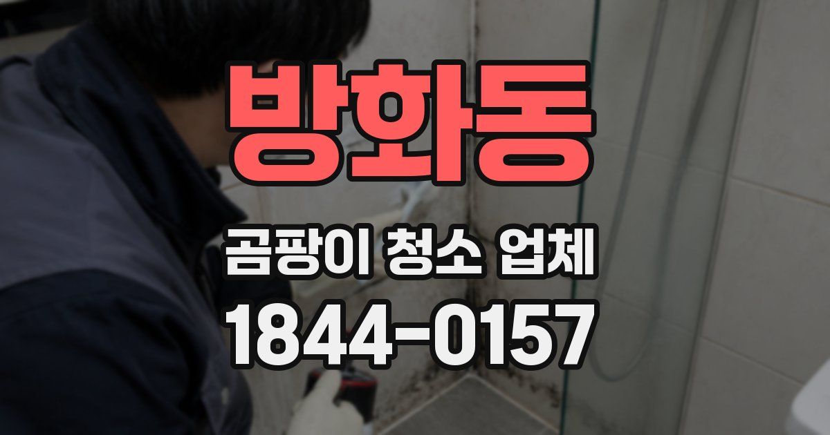 방화동 곰팡이 청소 업체