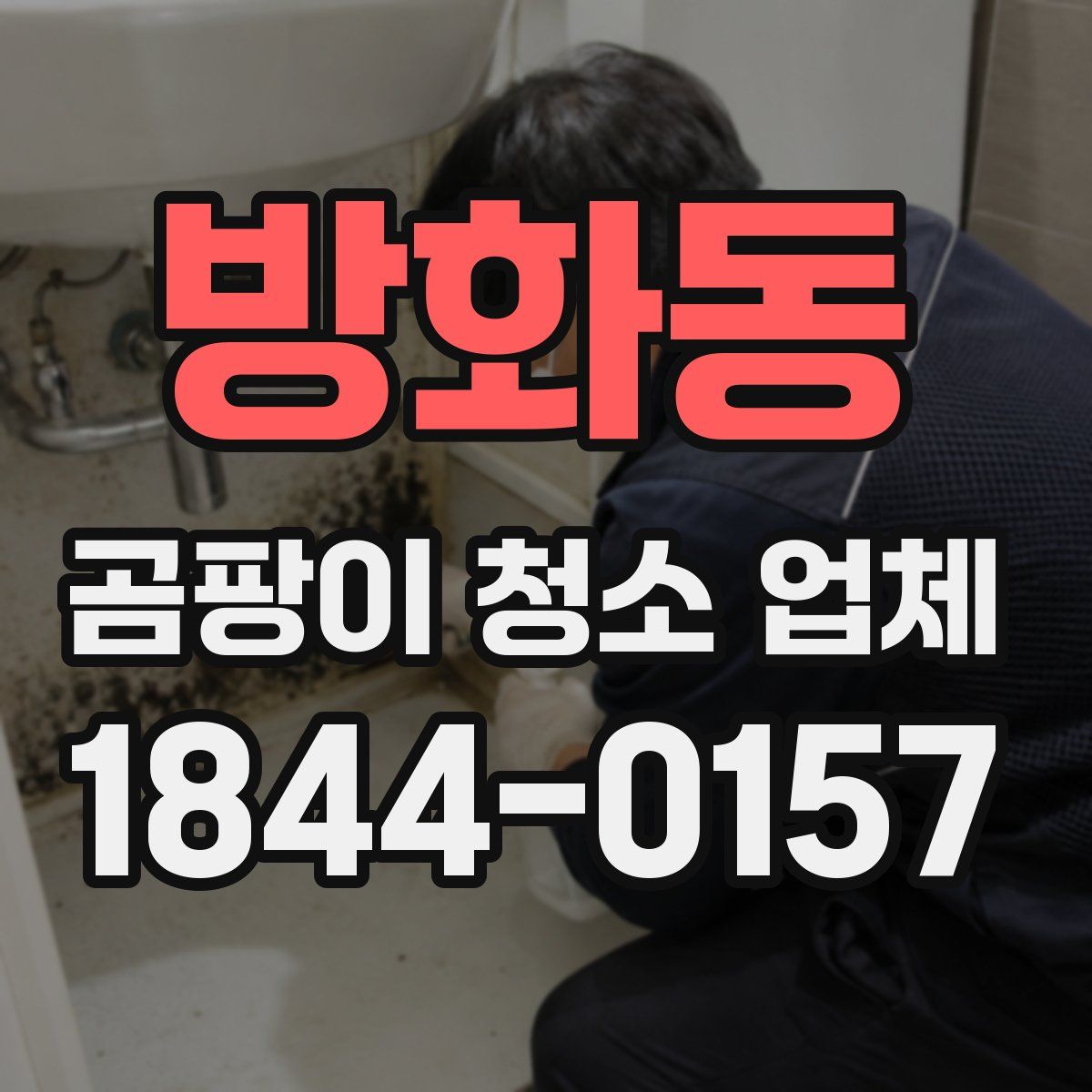 방화동 곰팡이 청소 업체