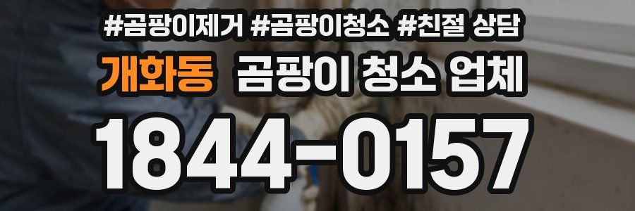 개화동 곰팡이 청소 업체