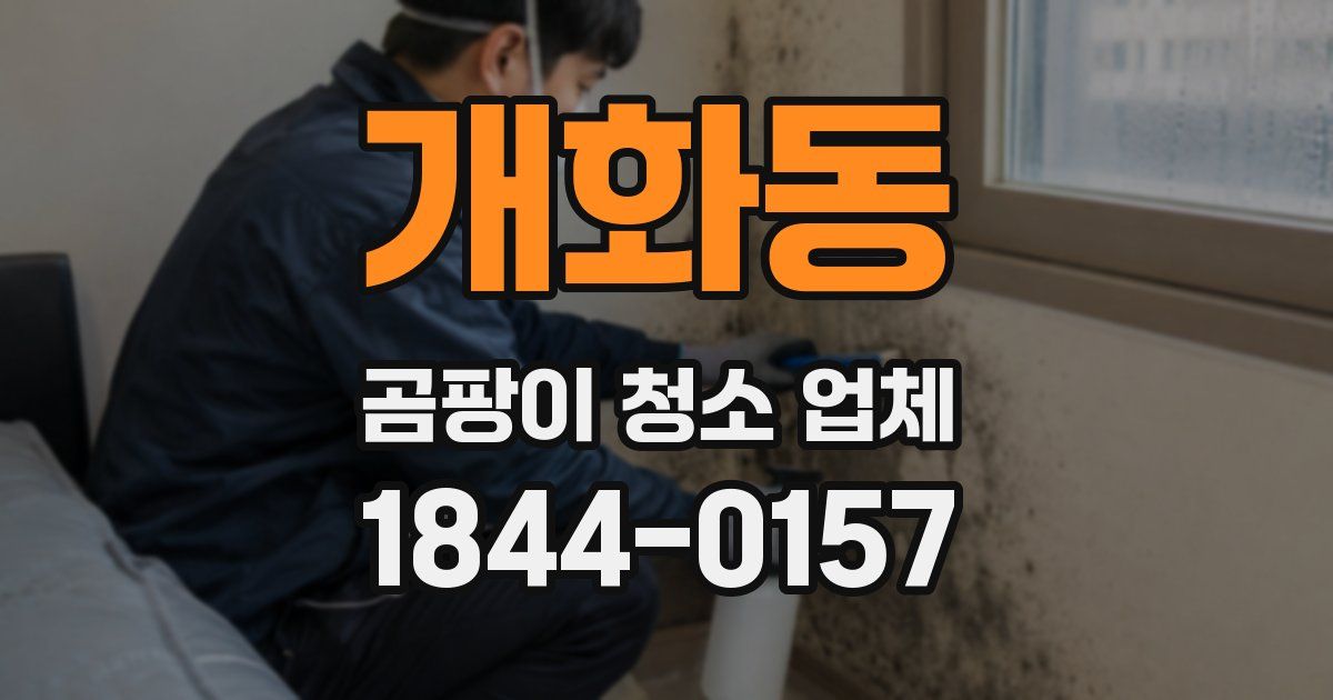 개화동 곰팡이 청소 업체