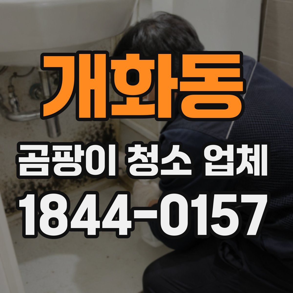 개화동 곰팡이 청소 업체