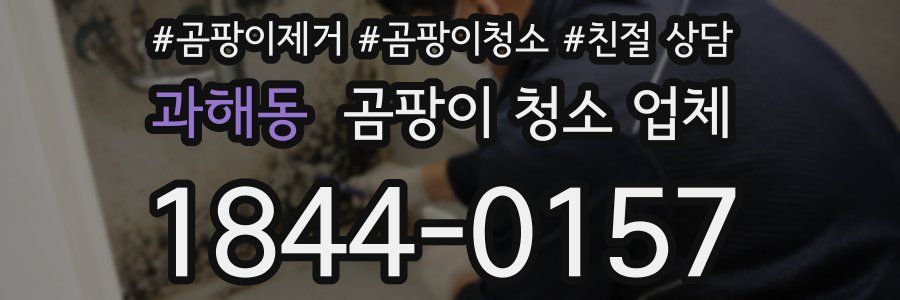 과해동 곰팡이 청소 업체