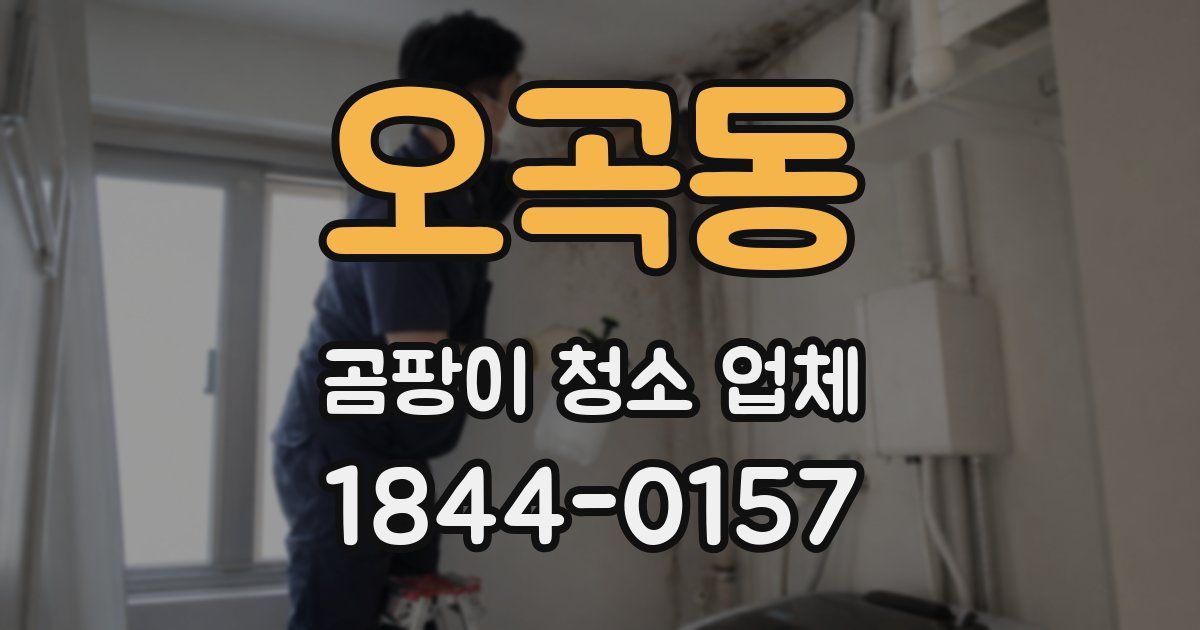 오곡동 곰팡이 청소 업체