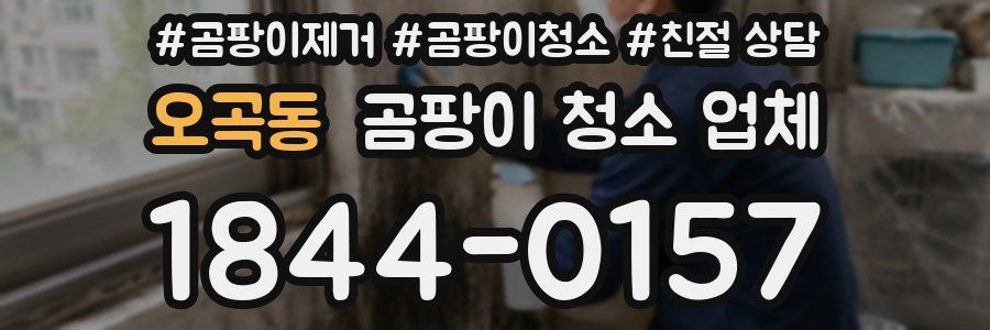 오곡동 곰팡이 청소 업체