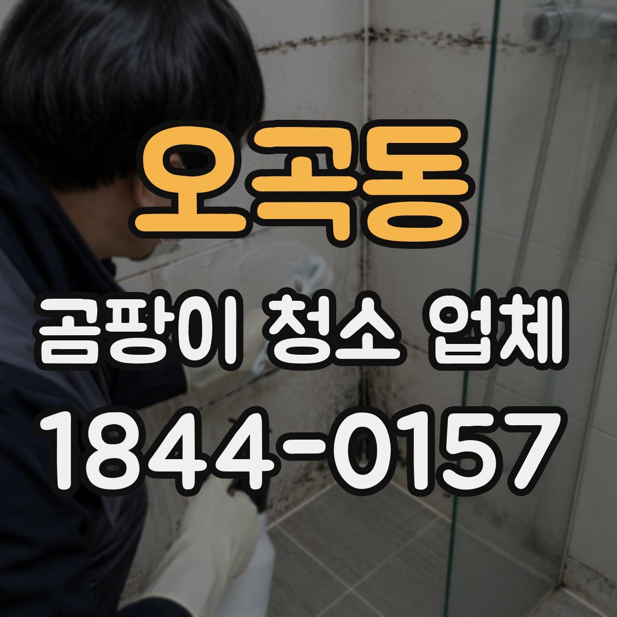 오곡동 곰팡이 청소 업체
