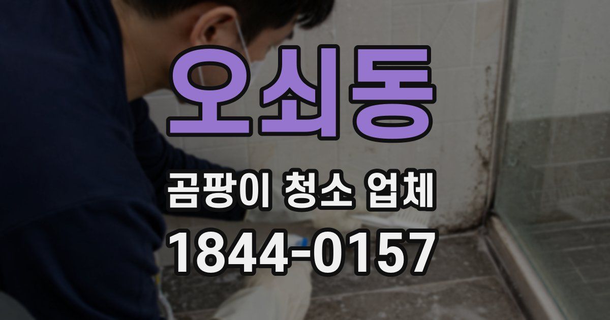 오쇠동 곰팡이 청소 업체