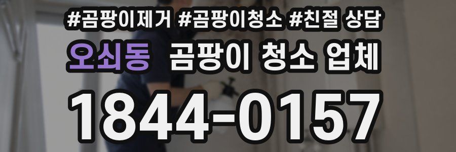 오쇠동 곰팡이 청소 업체
