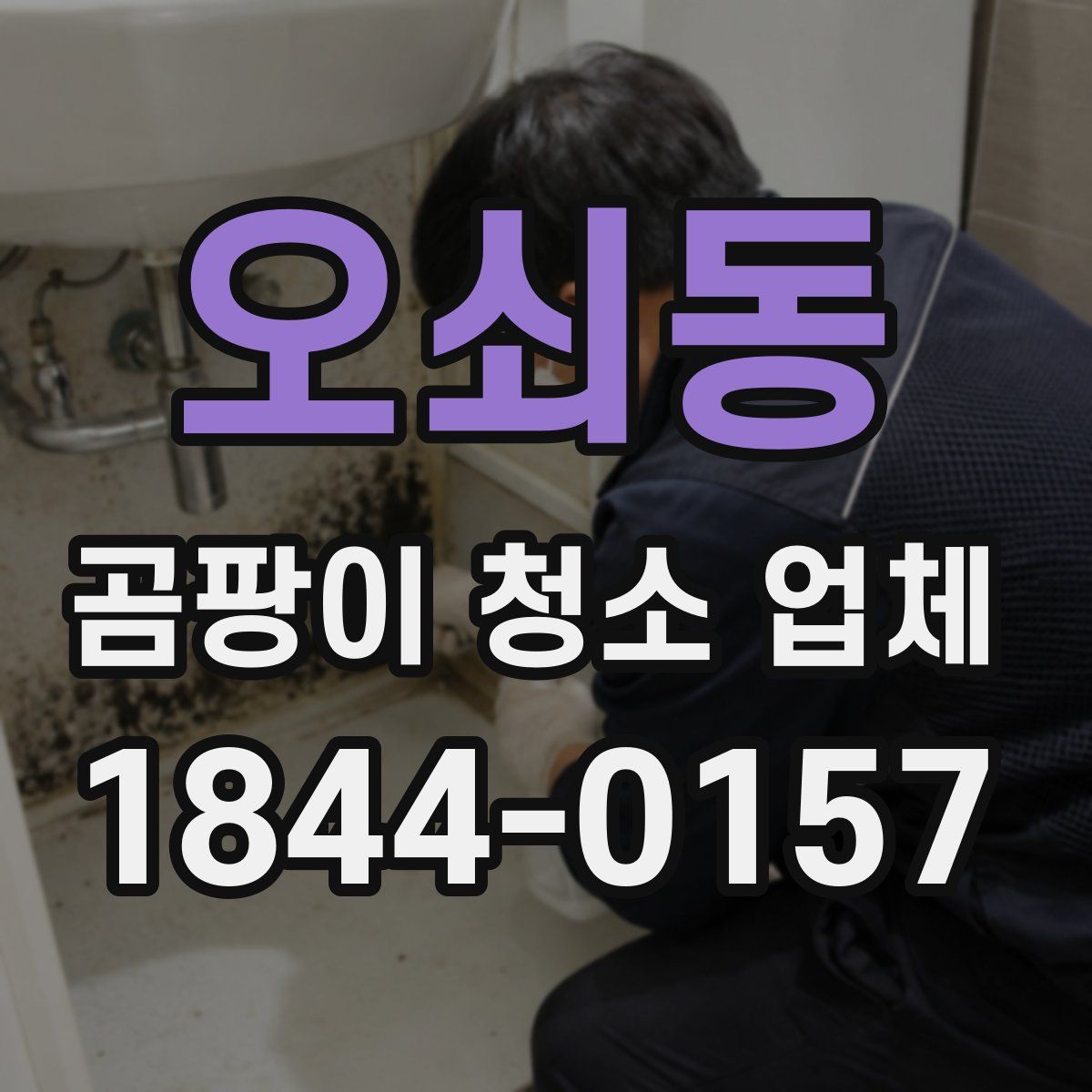 오쇠동 곰팡이 청소 업체