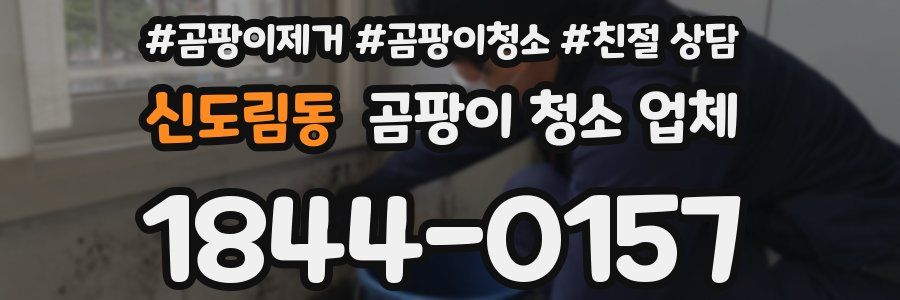 신도림동 곰팡이 청소 업체