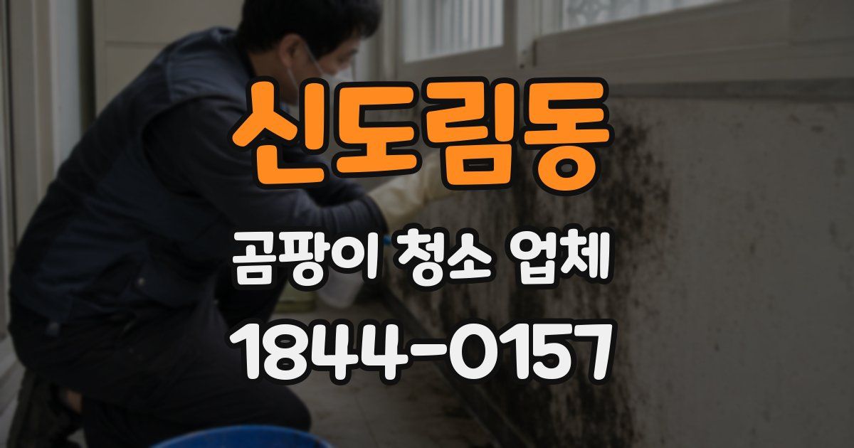 신도림동 곰팡이 청소 업체