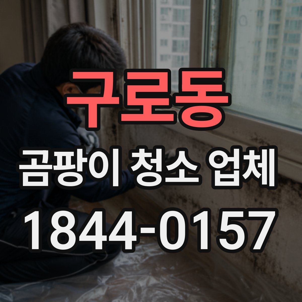구로동 곰팡이 청소 업체