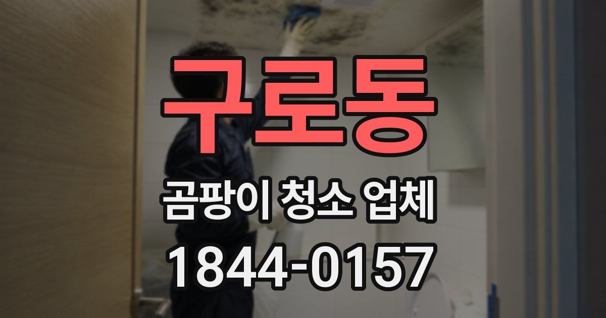 구로동 곰팡이 청소 업체