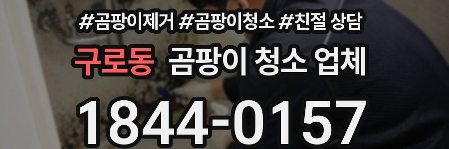 구로동 곰팡이 청소 업체