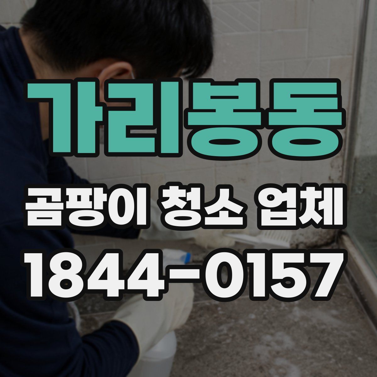 가리봉동 곰팡이 청소 업체