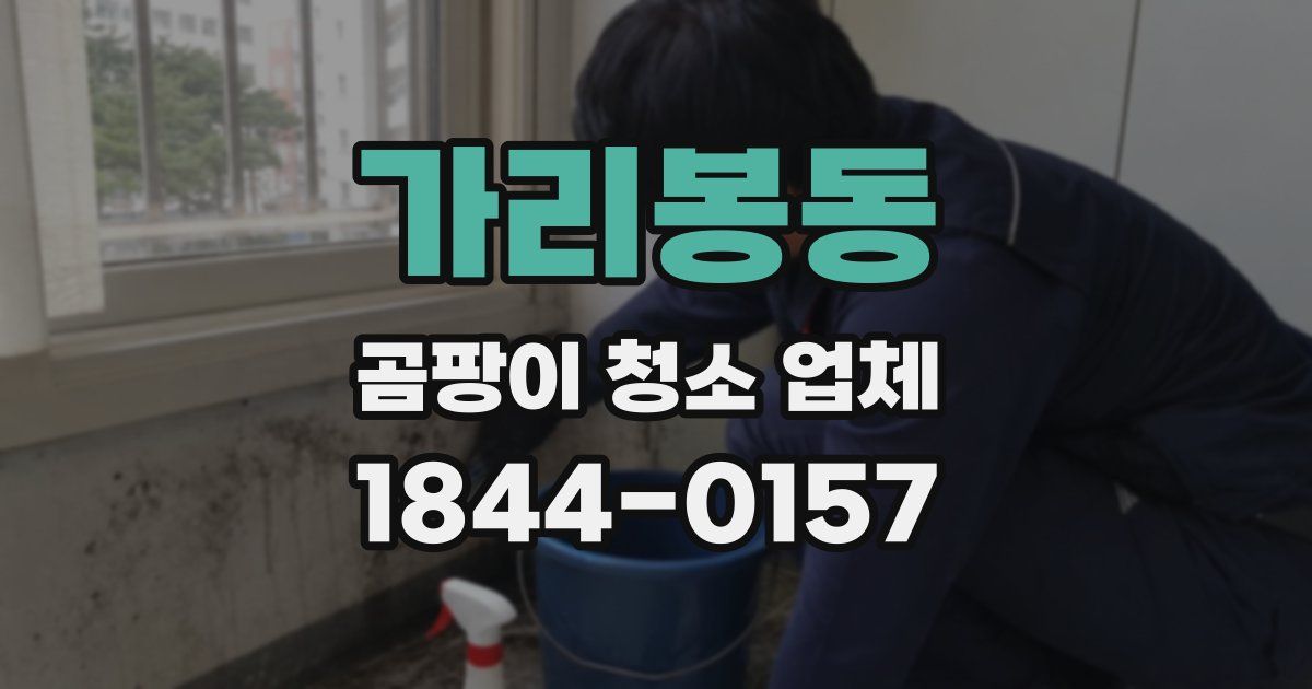 가리봉동 곰팡이 청소 업체