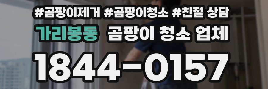 가리봉동 곰팡이 청소 업체