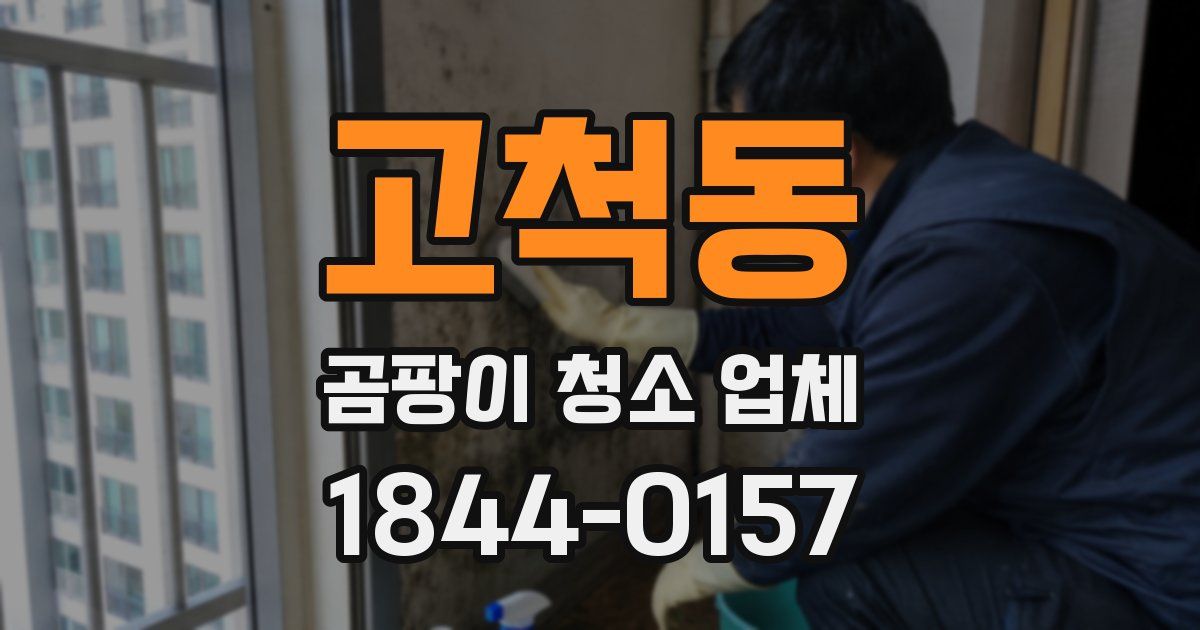 고척동 곰팡이 청소 업체