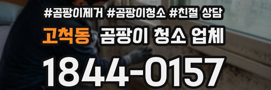고척동 곰팡이 청소 업체